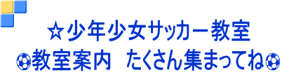 ☆少年少女サッカ－教室 ⚽教室案内　たくさん集まってね⚽